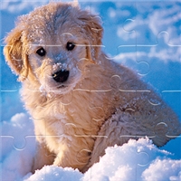 play Winter Pets Puzzle game