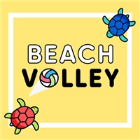 play Beach Volley game