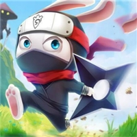 play Ninja Rabbit game