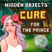 play Hidden Objects Cure For The Prince game