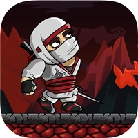 play Ninja Warrior Shadow of Last Samurai game