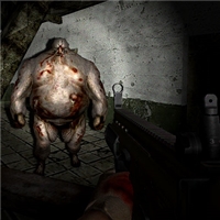 play Silent Asylum game