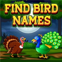 play Find Birds Names game