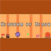 play Kingdom of Ninja game