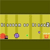 play Kingdom of Ninja 2 game