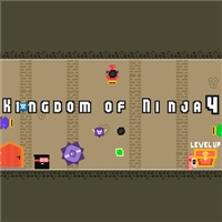 play Kingdom of Ninja 4 game