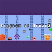 play Kingdom of Ninja 3 game