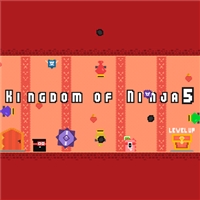 play Kingdom of Ninja 5 game