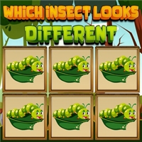 play Which Insect Looks Different game